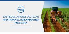 Las negociaciones del TLCAN afectarán la agroindustria mexicana