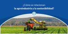 ¿Cómo se relacionan la agroindustria y la sostenibilidad?