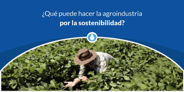¿Qué efectos puede tener la agroindustria sostenible?