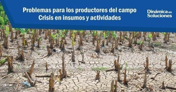 Crisis de insumos: retos para productores del campo